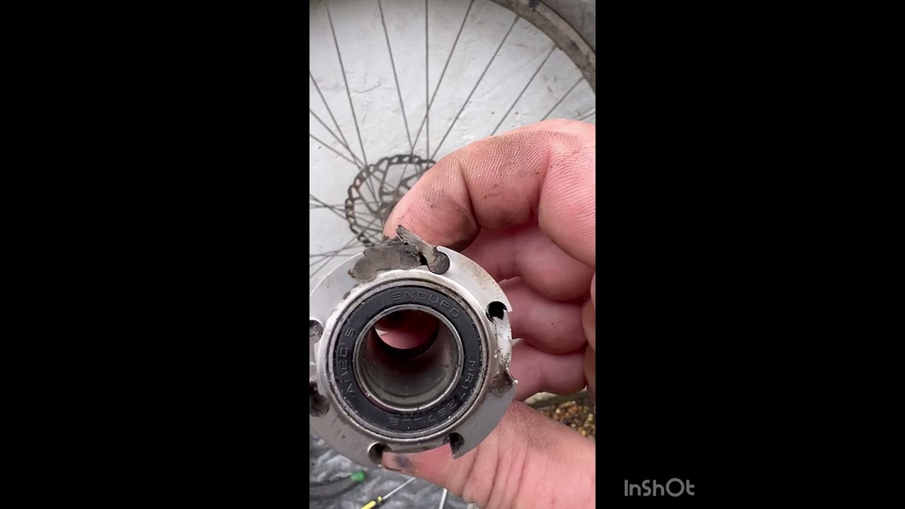 Hope Pro4 hub service with Ants Pawl Springs