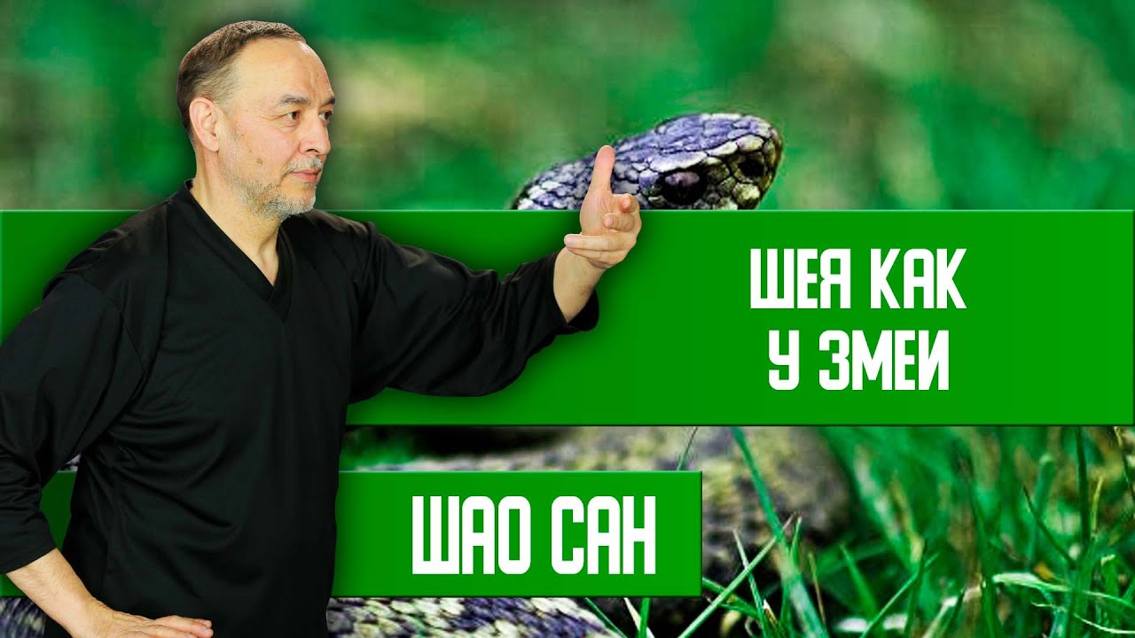 Разминка шеи | Шао Сан