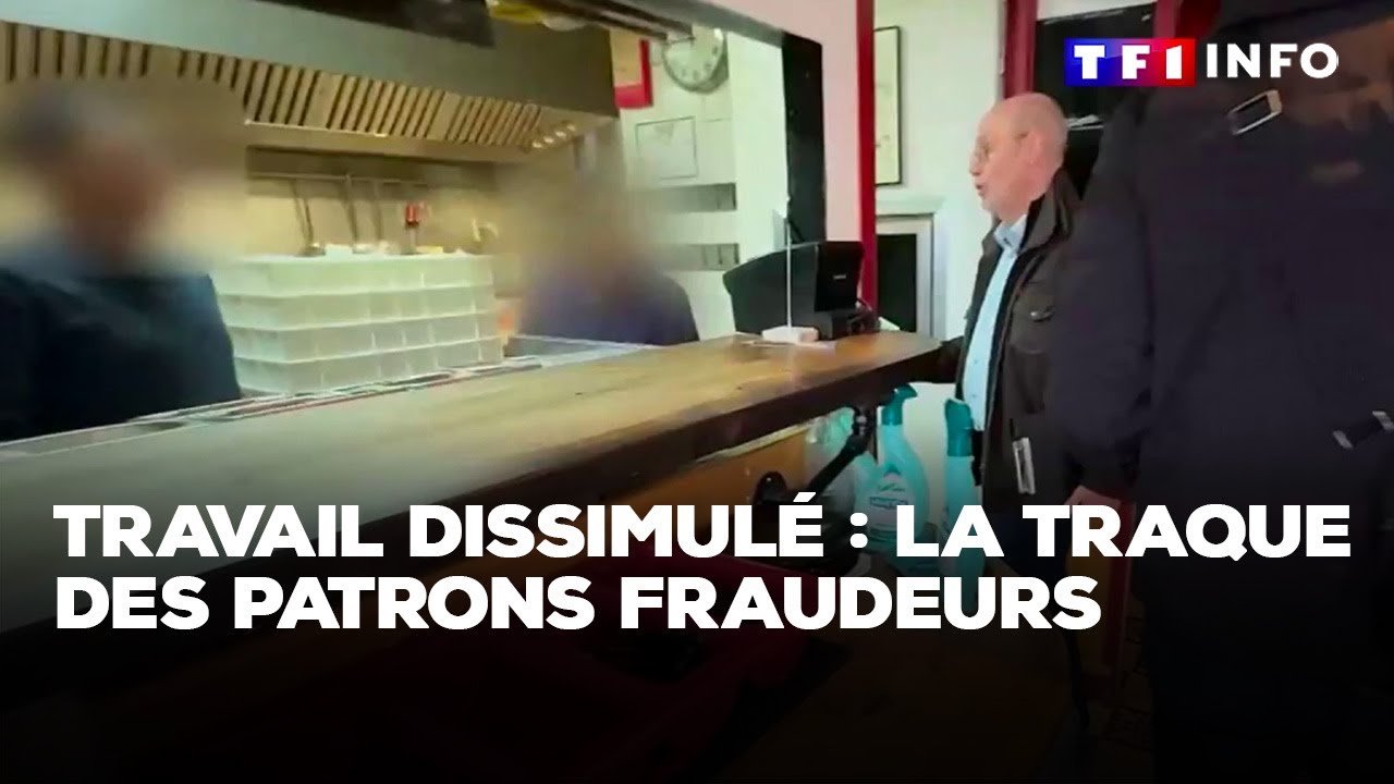 Travail dissimulé : la traque des patrons fraudeurs ｜TF1 INFO