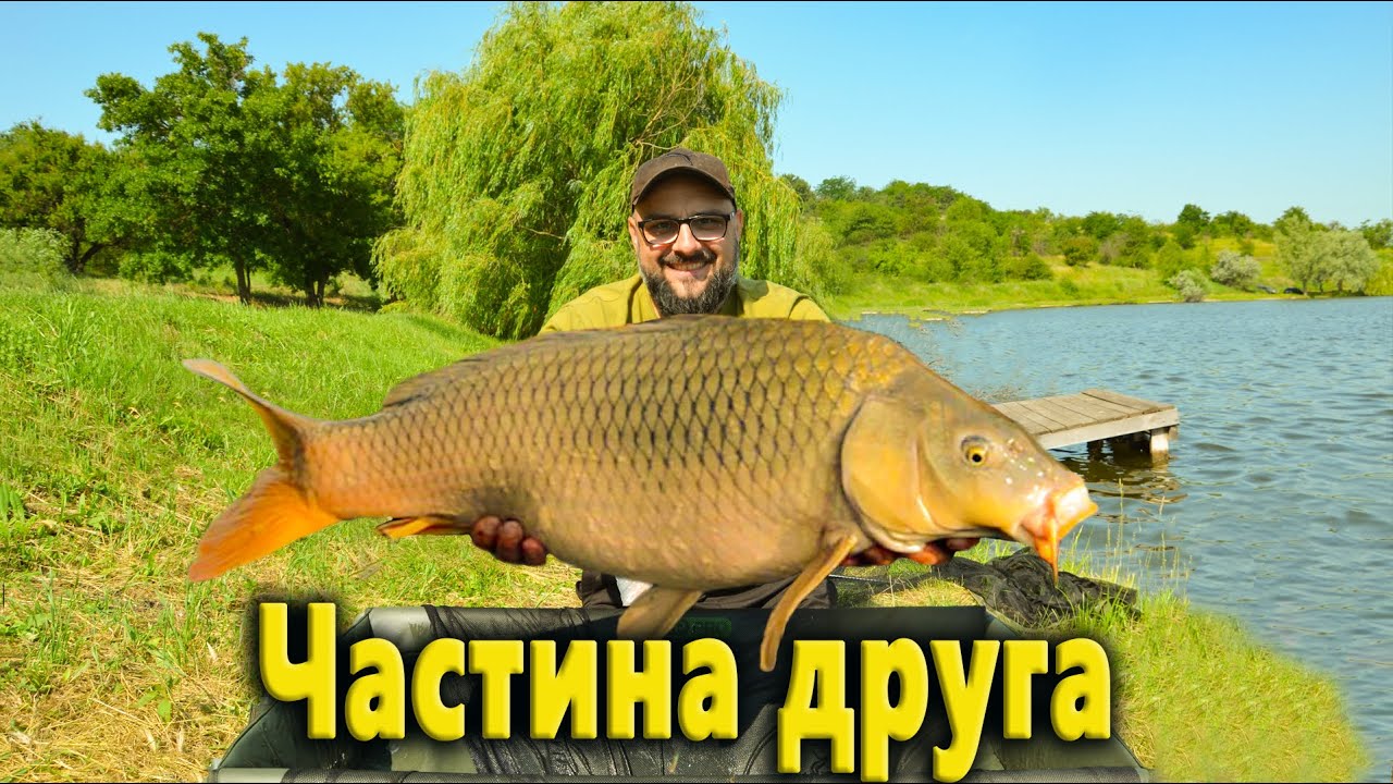 Білий амур на ФЛЕТ-ФІДЕР, перші в житті змагання на Лагуні, частина друга, рибалка 2023