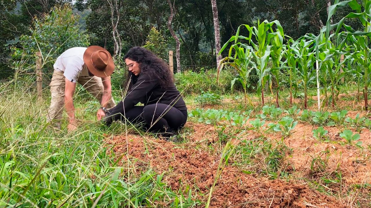 Como estão as plantações no Rancho | Luta da Luna!