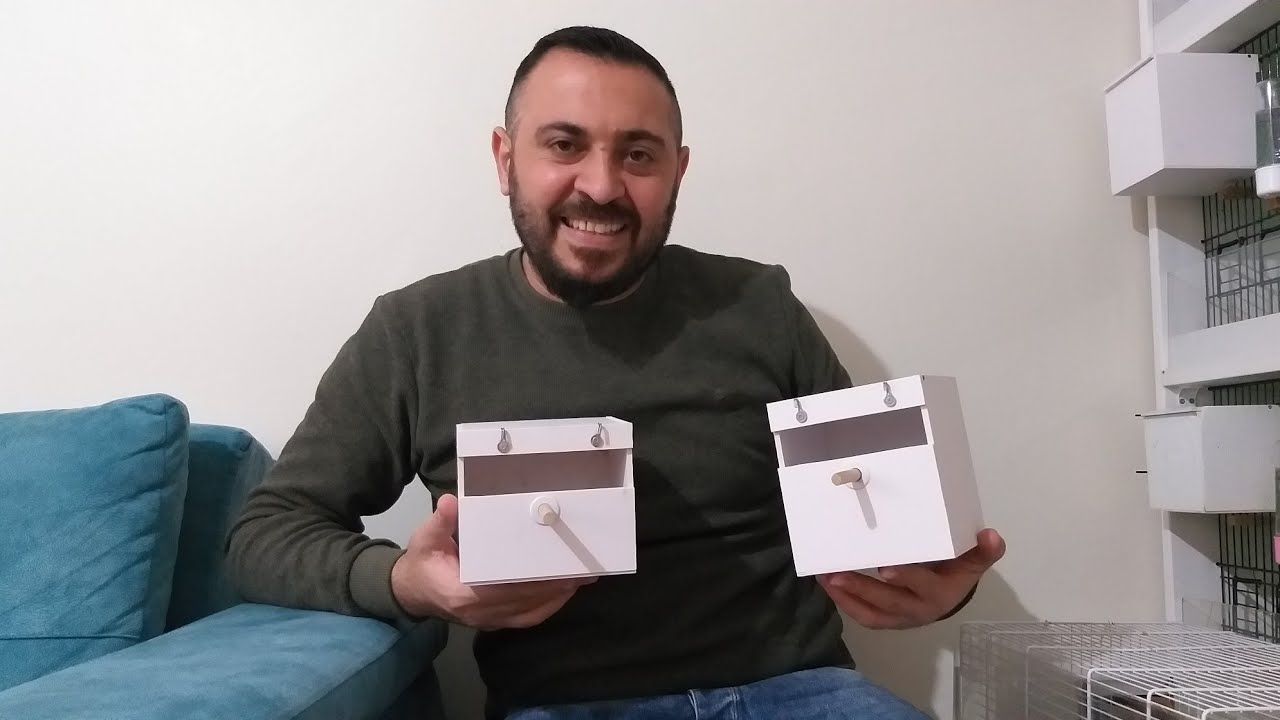 BENGAL İSPİNOZU TEK YAŞAR MI?+[YENİ GELEN YUVALIKLARIMIZ]