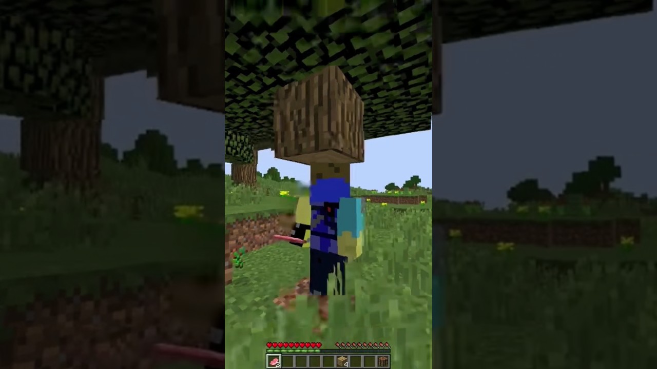NEW ARG Minecraft