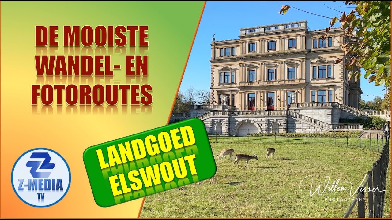 Elswout Overveen- De beste paddenstoelen plek van Nederland -4K