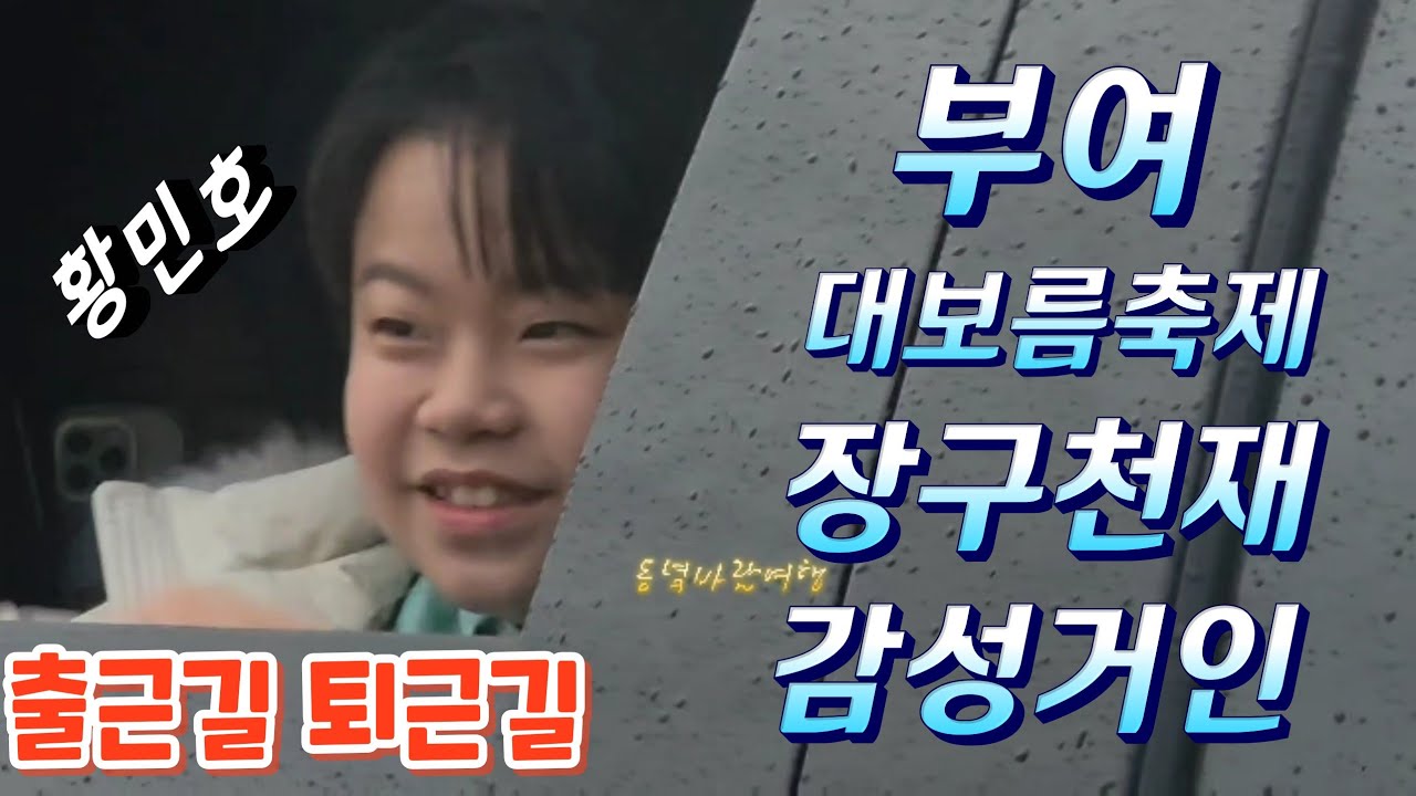 부여  정월 대보름축제 감성거인황민호 국민손자 출근길 퇴근길  호우주의보 함께 