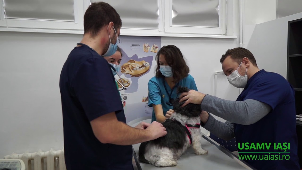 Facultatea de Medicină Veterinară - cu pasiune