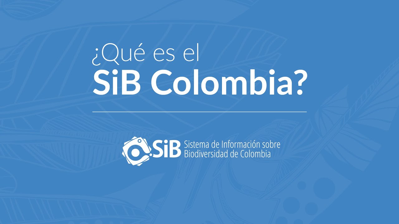 ¿Qué es el SiB Colombia?