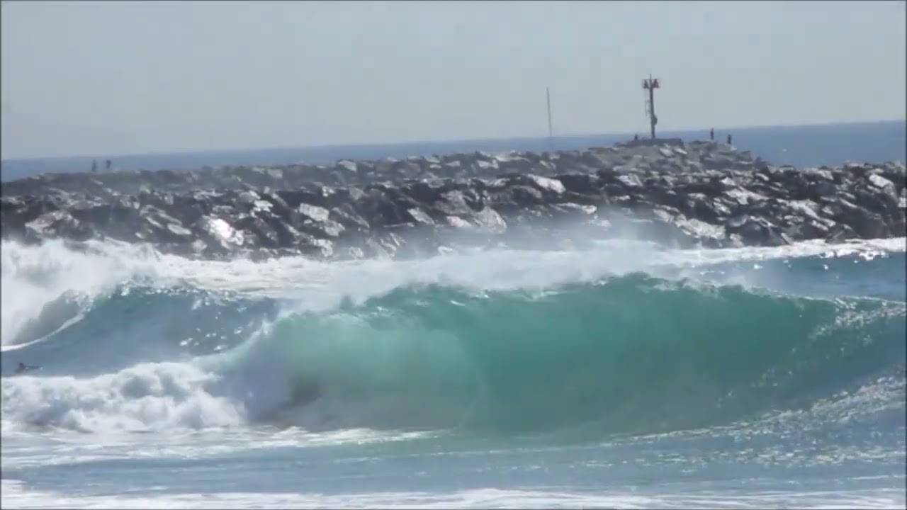 The Wedge March Madness 2026