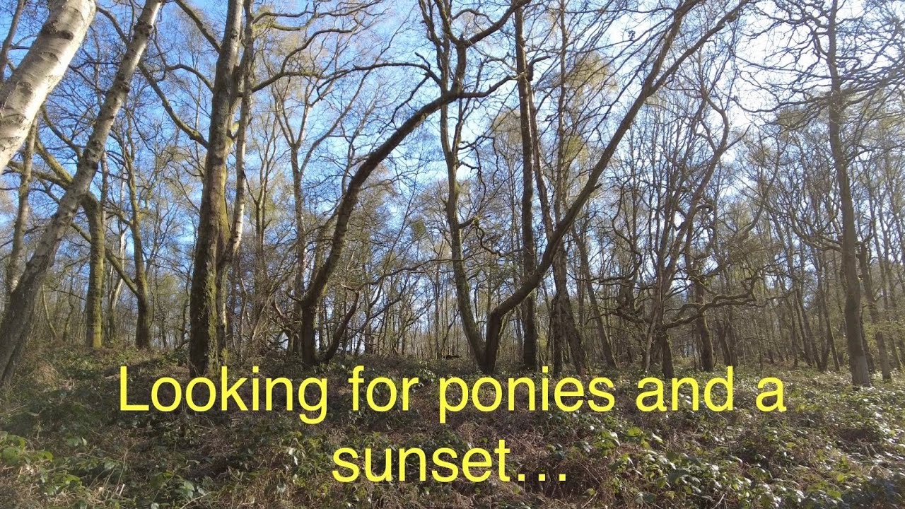 Another nature reserve in the beautiful uk
