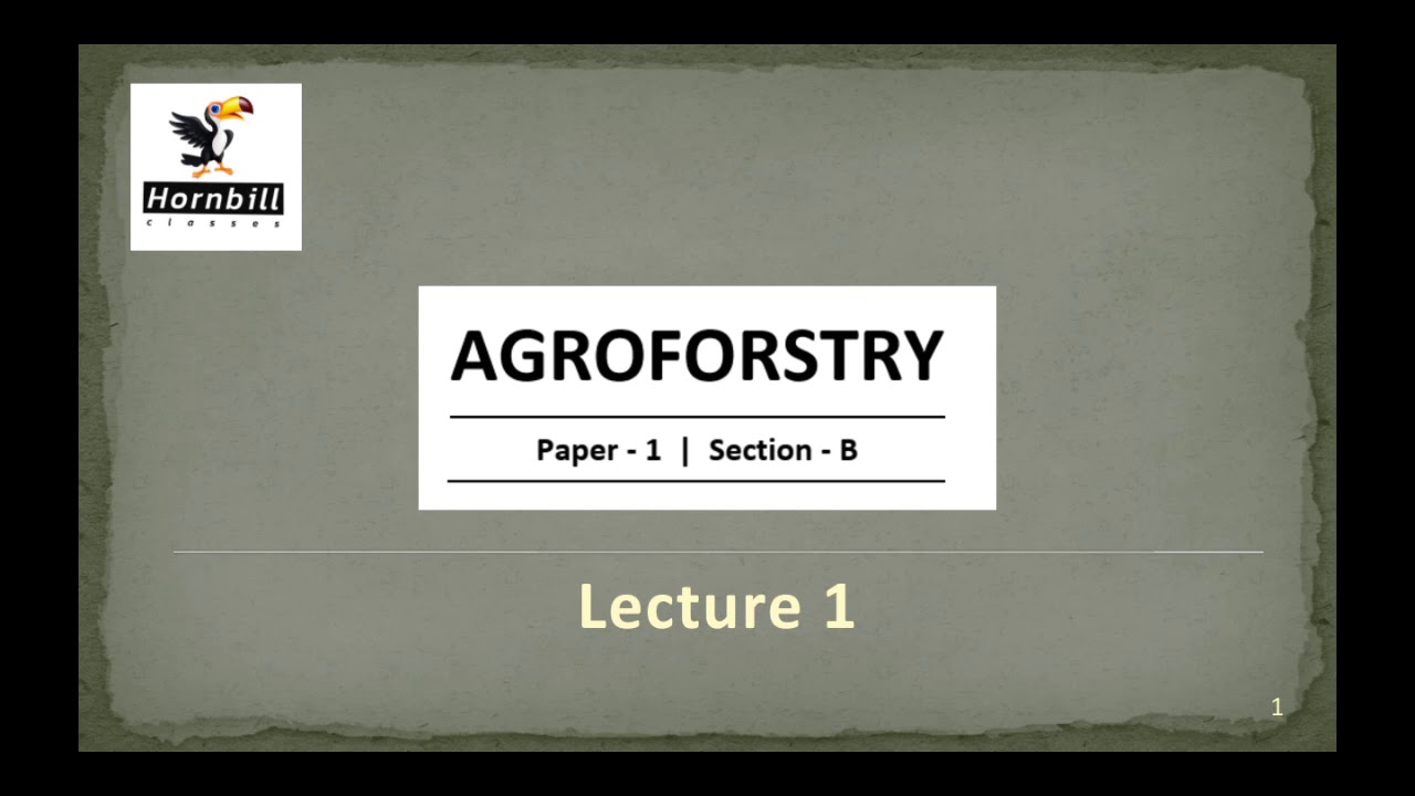 1. IFoS-2019  |  Agro-forestry