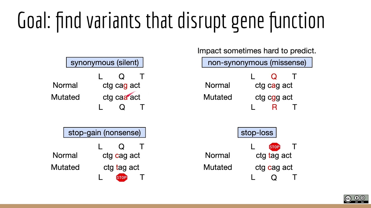 Applied Computational Genomics - 10 - VCF Annotation