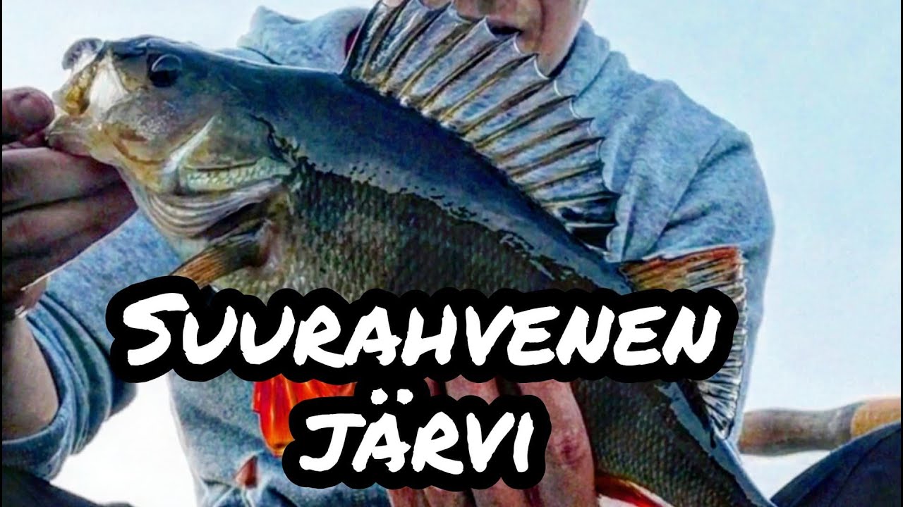 SUURAHVENEN METS&Auml;J&Auml;RVI ! JIGAUSTA JA MUUTA HEITTOKALASTUSTA