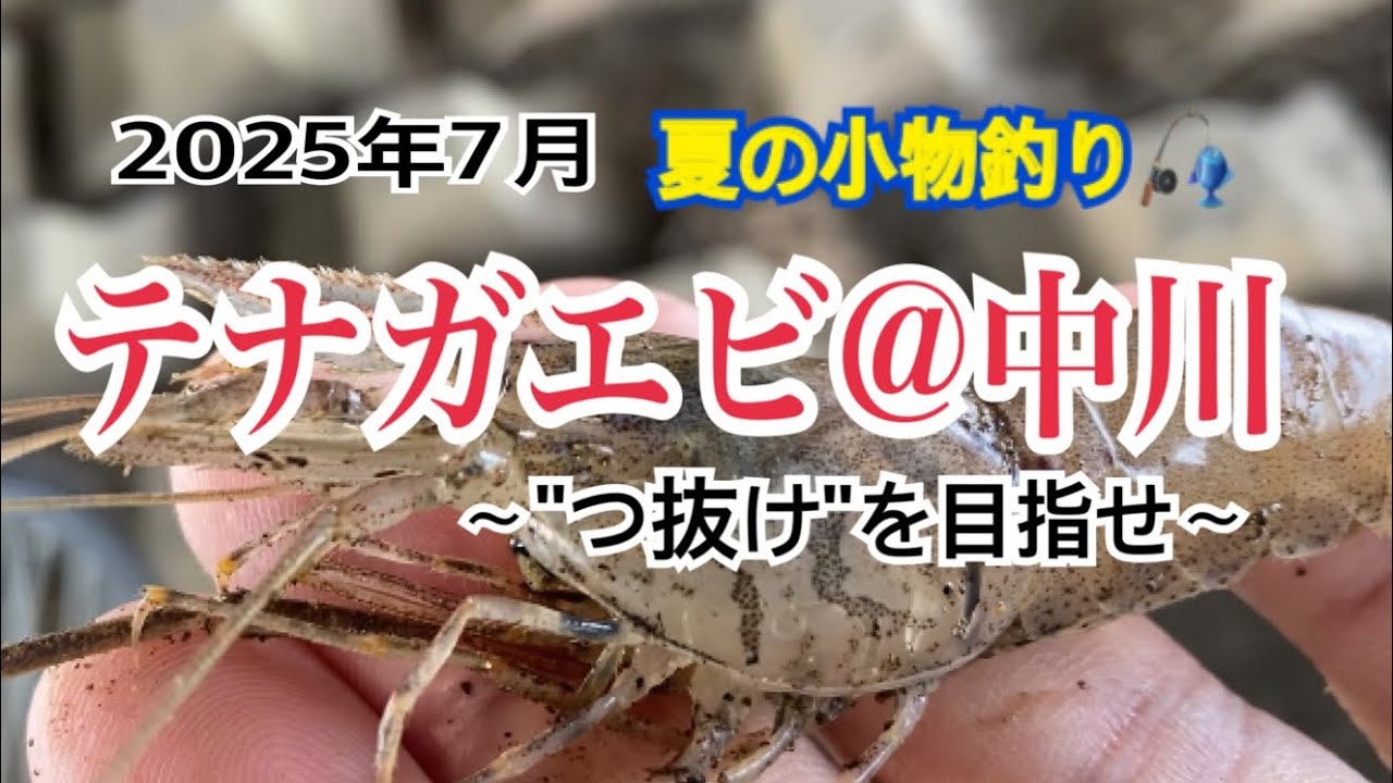 2025年7月  【夏の小物釣り・テナガエビ@中川】