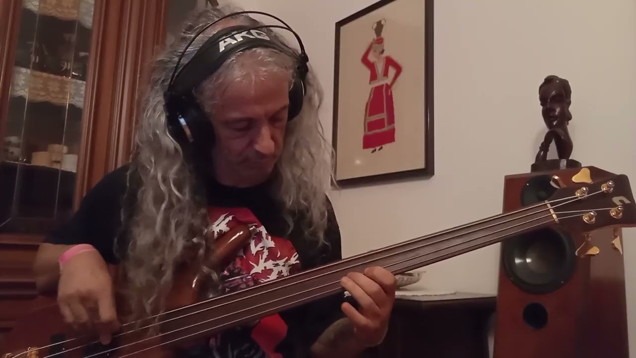 Death trapped in a corner fretless bass cover #chuckschuldiner #fretlessbass 
