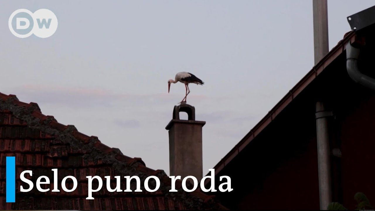 Selo koje rode vole