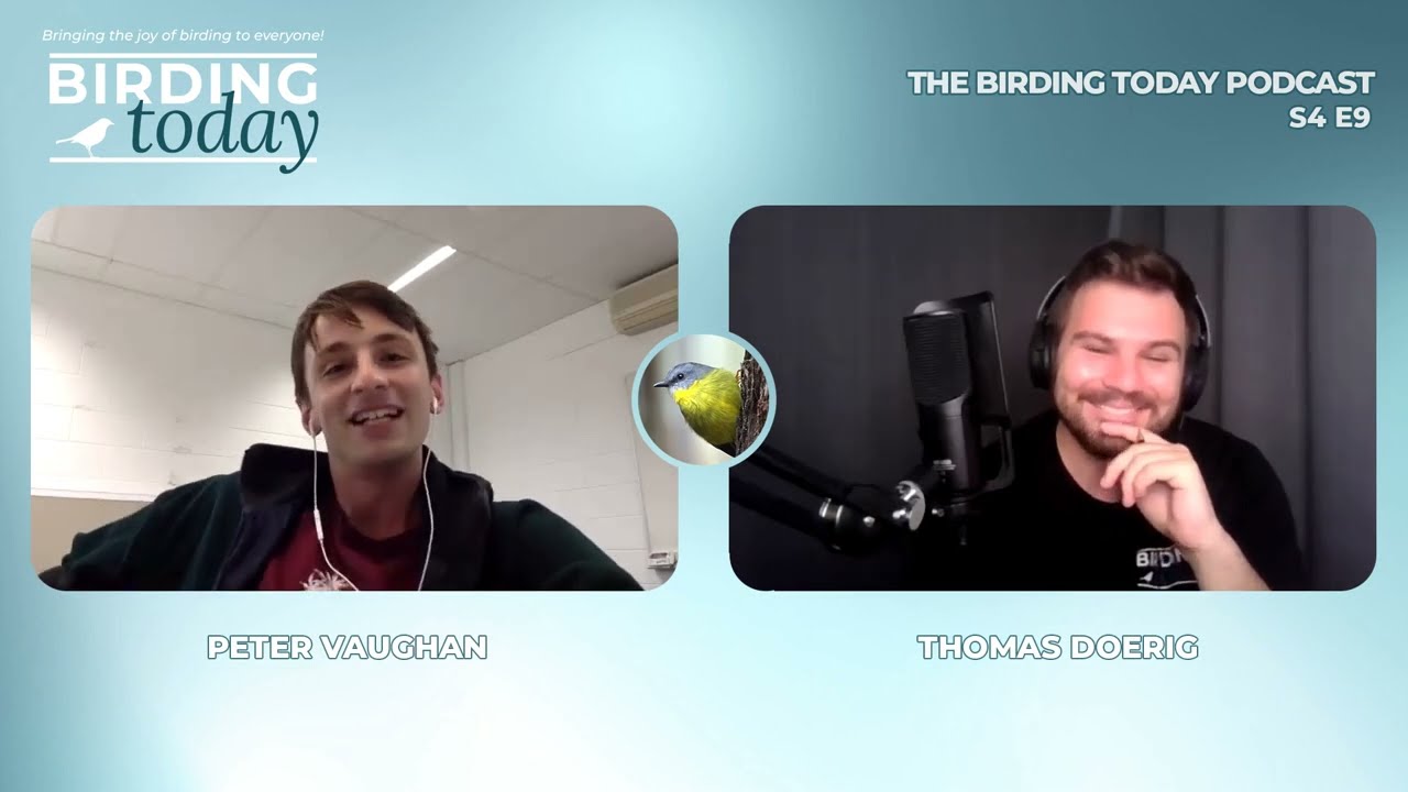 THE BIRDING TODAY PODCAST S4 E9 | The Beauty Of Seabirds | PETER VAUGHAN