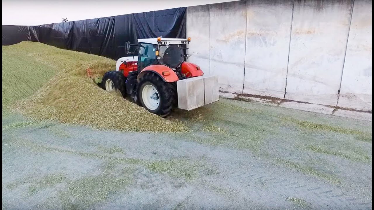 SILAGE LEVELING 2016 |  Steyr 6230  + Steyr 6195 CVT + John Deere 6430