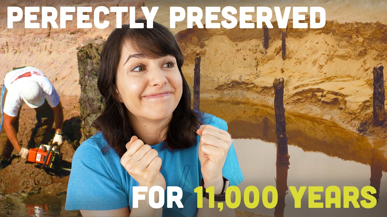 They Accidentally Found an 11,000-Year-Old Forest. Twice.