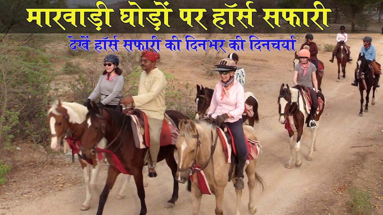 ऐसे होती है हॉर्स सफारी Horse Safari by Dr Ajeet Singh Rao of Horse India Narlai |