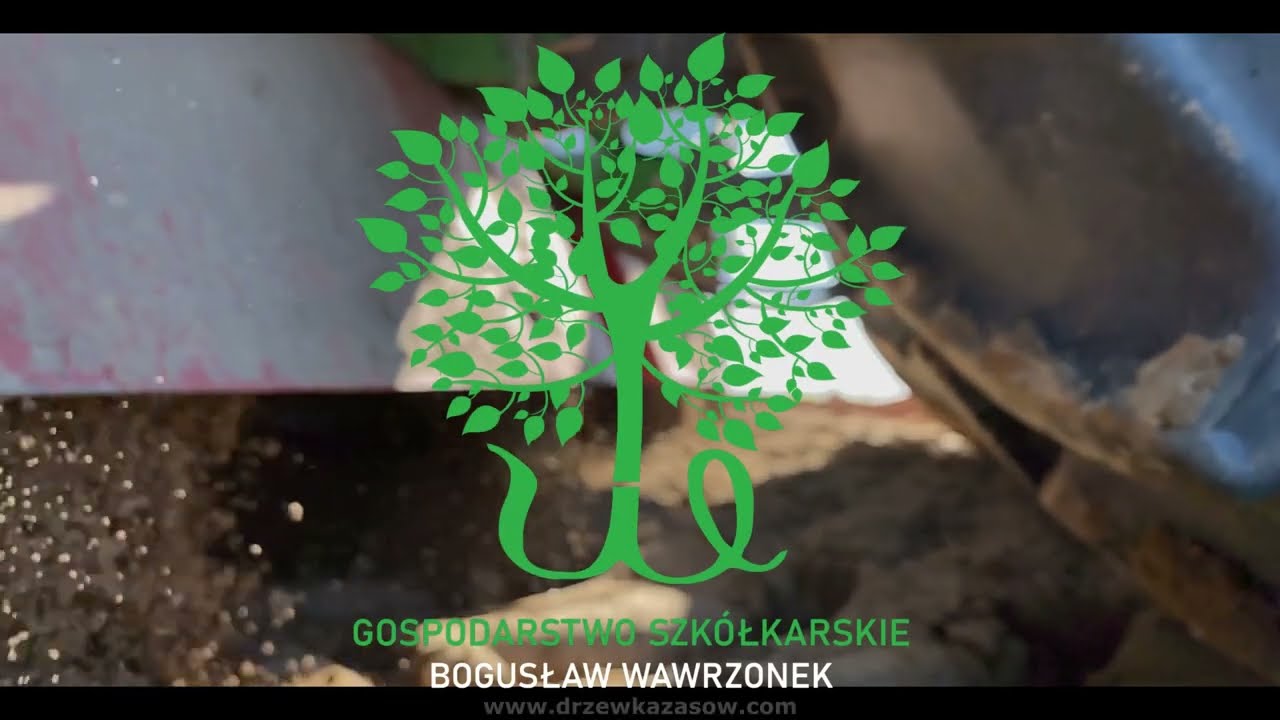 Gospodarstwo Szkółkarskie - Nursery Farm - Bogusław Wawrzonek