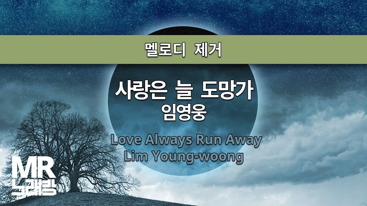 MR노래방ㆍ멜로디 제거] 사랑은 늘 도망가 - 임영웅 ㆍLove Always Run Away - Lim Young-woong ㆍMR Karaoke