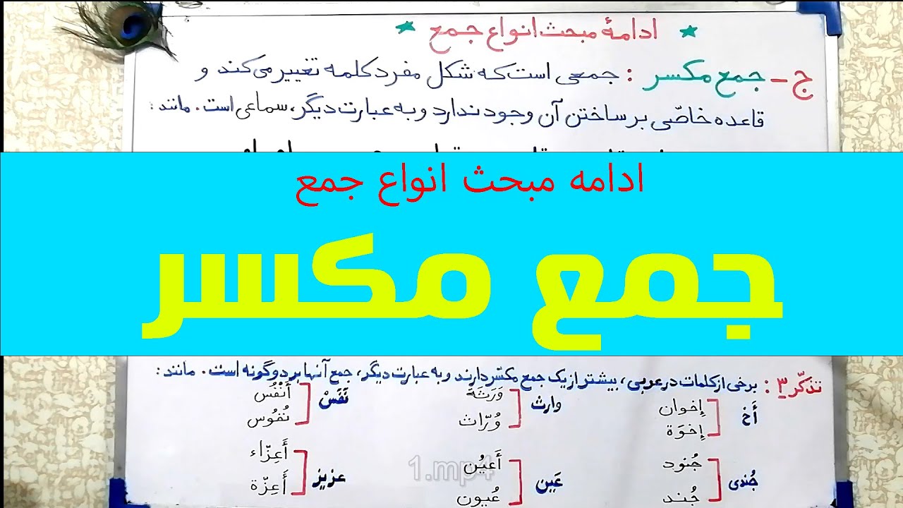 آموزش جمع مکسر در زبان عربی