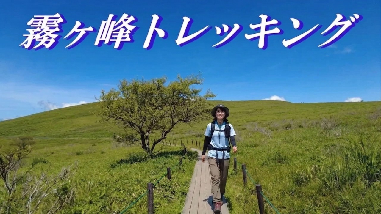 【霧ヶ峰高原をトレッキング】車山肩→車山湿原→蝶々深山→物見石→八島ヶ原湿原→旧御射山遺跡→沢渡→車山肩の全長約7キロのトレッキングコースを約3時間かけて歩きました。