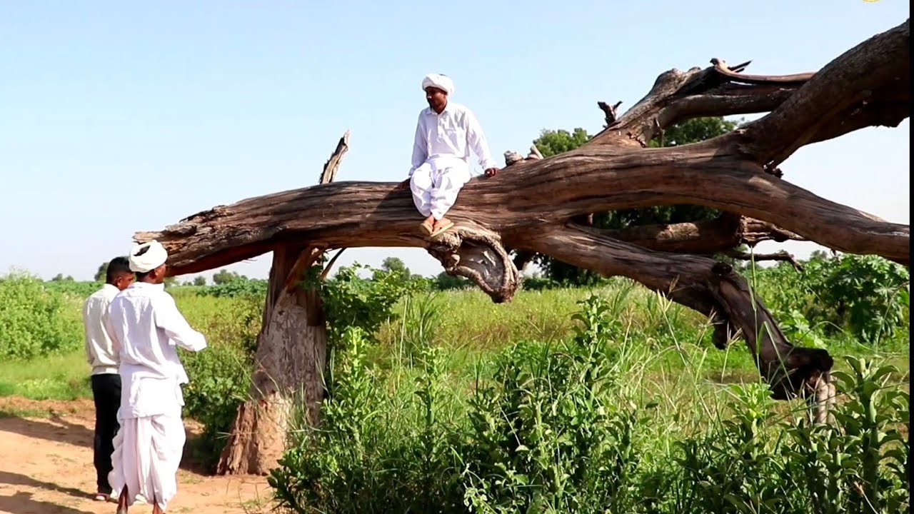 મોમા-ભોણાએ કેમ બાબુજીને લીધા ‌ઉધળા | MOMA-BHONA A KEM BABUJI NE LIDHA UDHRA | NEW COMEDY VIDEO