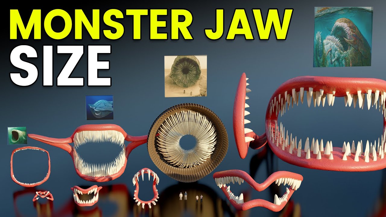 3D Monster Jaw Size Comparison and Teeth Count | Animal Jaw Size