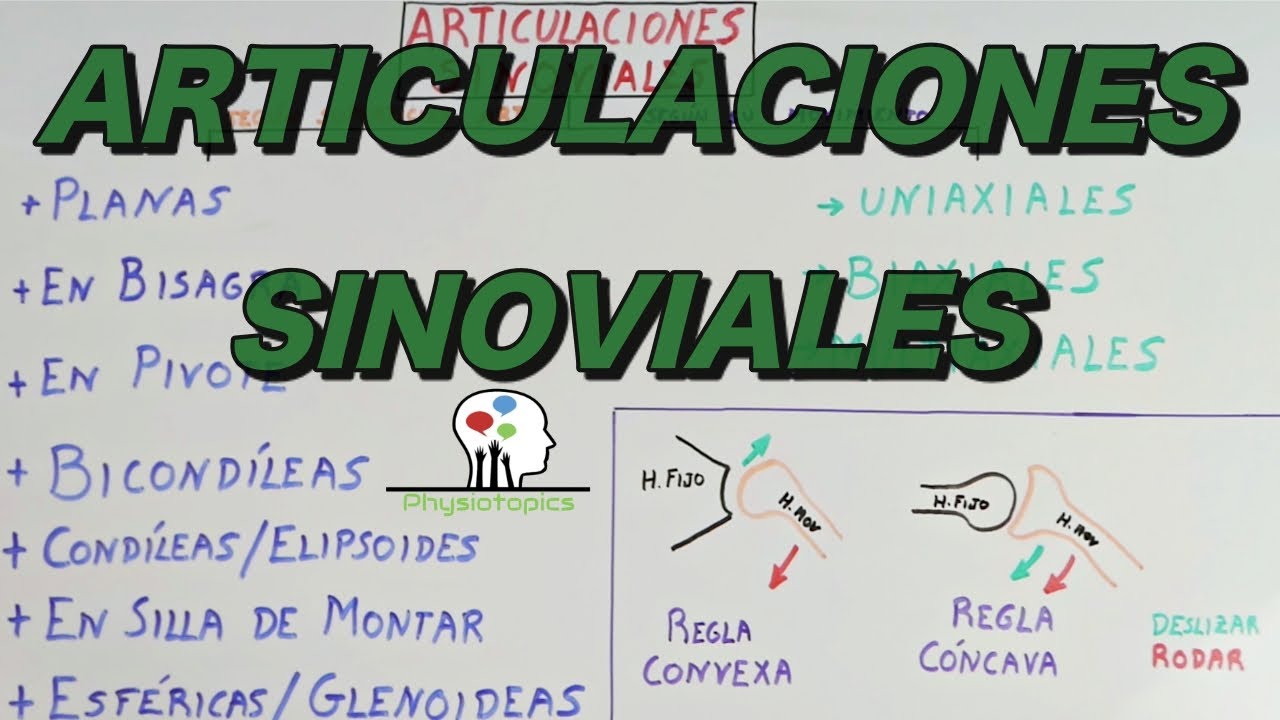 Las Articulaciones Sinoviales | Clasificación y ejemplos