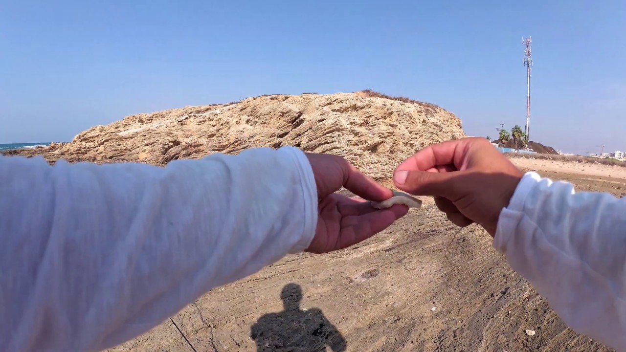 דייג 2019 חג שני שמח 2 דגים שבדרכ לא נתפסים על פיתה saltwater multispecies ultralight fishing