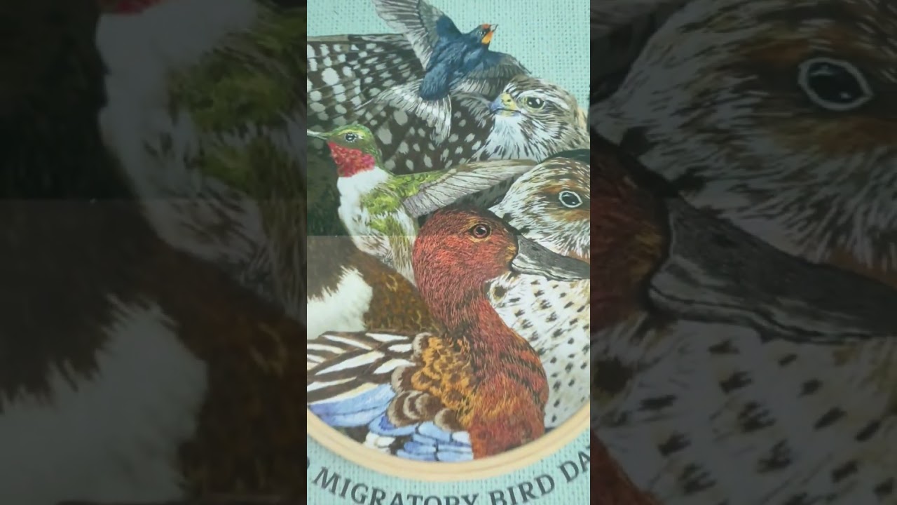 The 2026 World Migratory Bird Day materials are arriving!