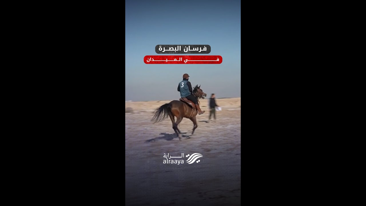 البصرة تحتضن سباق الخيول