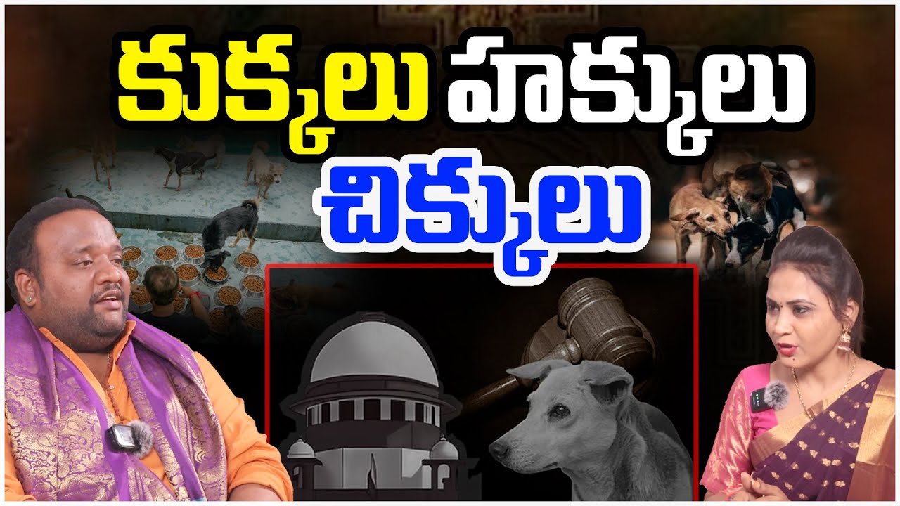 కుక్కలు హక్కులు చిక్కులు.. | Dr. Bhargav Devana | Street Dogs | Kamakhya | X News Telugu