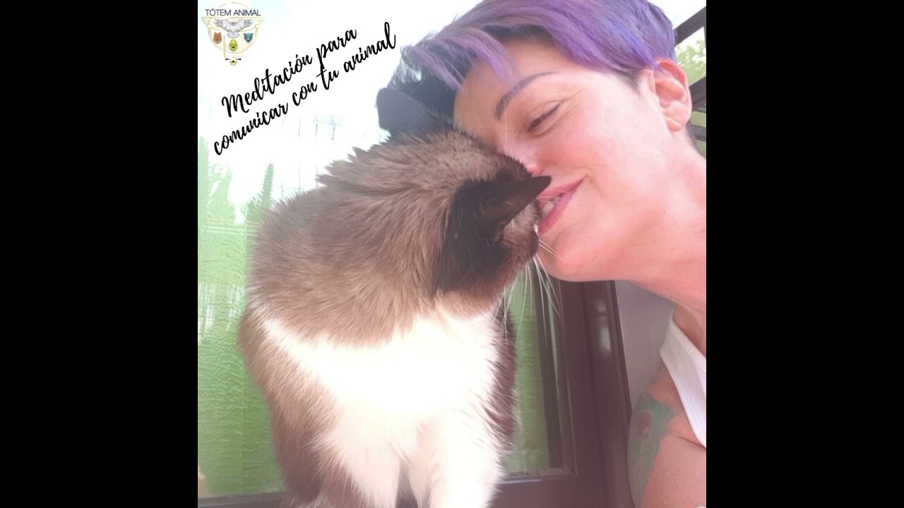 MEDITACIÓN PARA HABLAR CON TU ANIMAL
