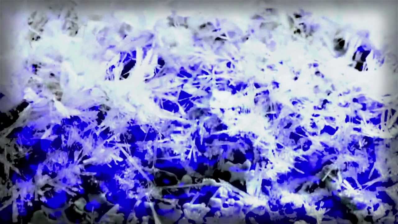 Lagartija Nick.- Esa extraña inercia ( anfetamina ).
