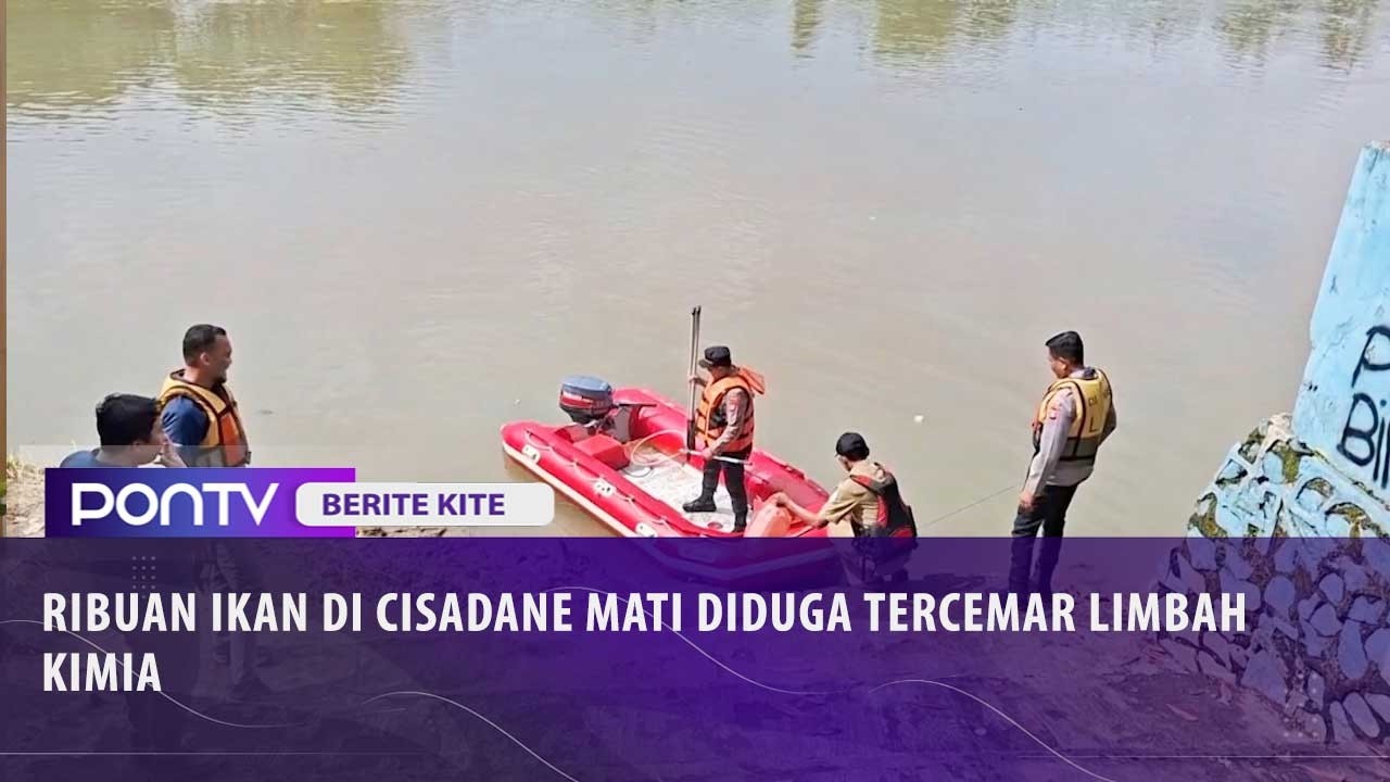 Ribuan Ikan di Sungai Cisadane Mati Diduga Akibat Tercemar Limbah Kimia dari Pabrik yang Terbakar
