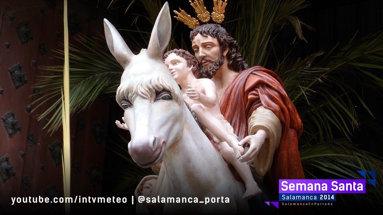 SEMANA SANTA SALAMANCA 2014 - LA BORRIQUILLA - DOMINGO DE RAMOS