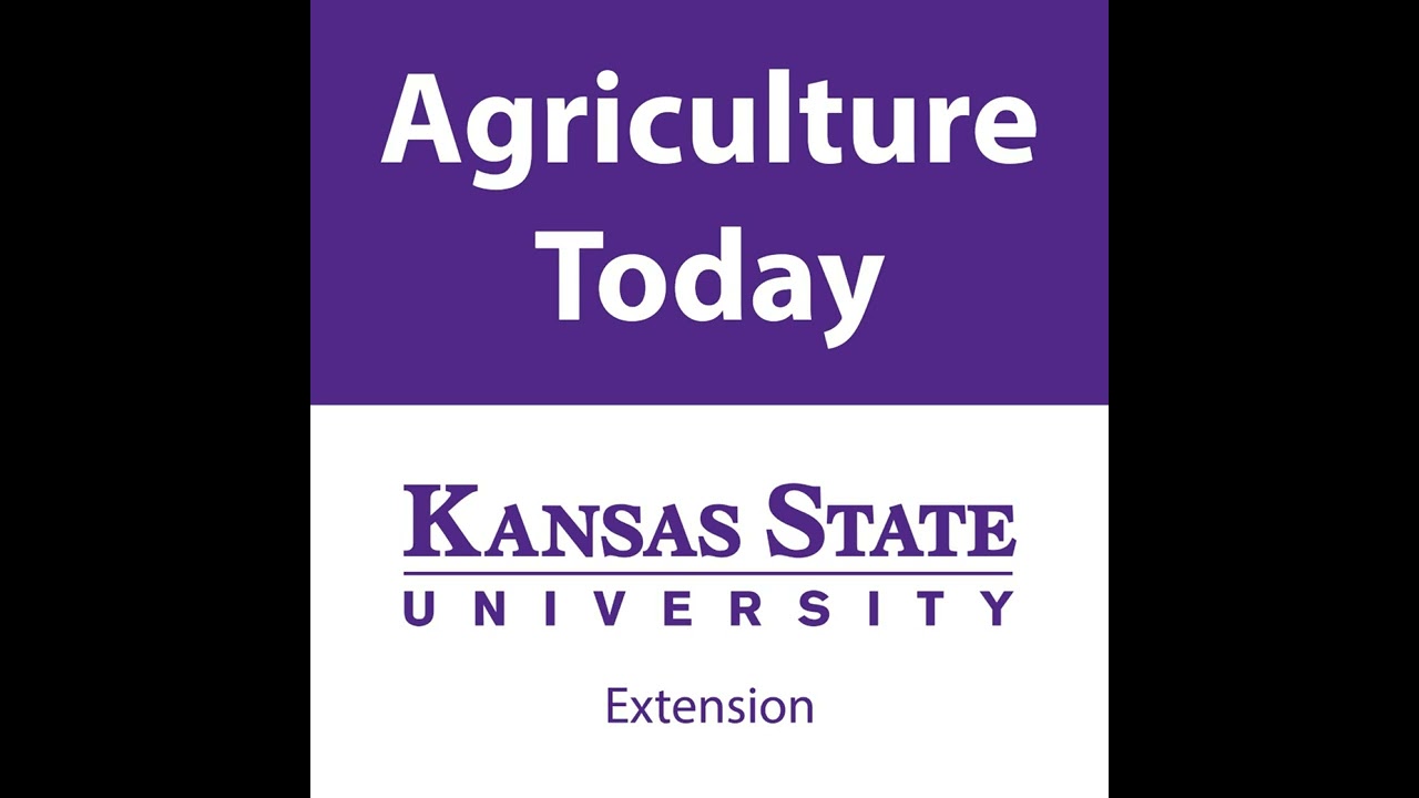 2128 - Grain Market Supply and Demand...Cattle Care After Fires