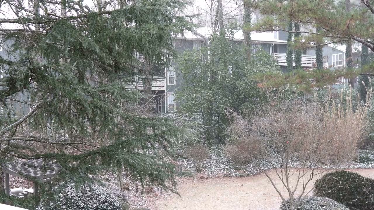 Atlanta Winter Wonderland 2026 -  Snowstorm Ambience with Birds & Relaxing Music - 40 Minutes