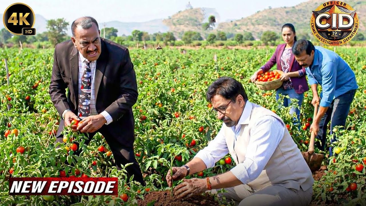 ज़हरीली टमाटर से हो रही मौत का पता लगाने CID पोहोची गाँव | CID New Episodes 2026