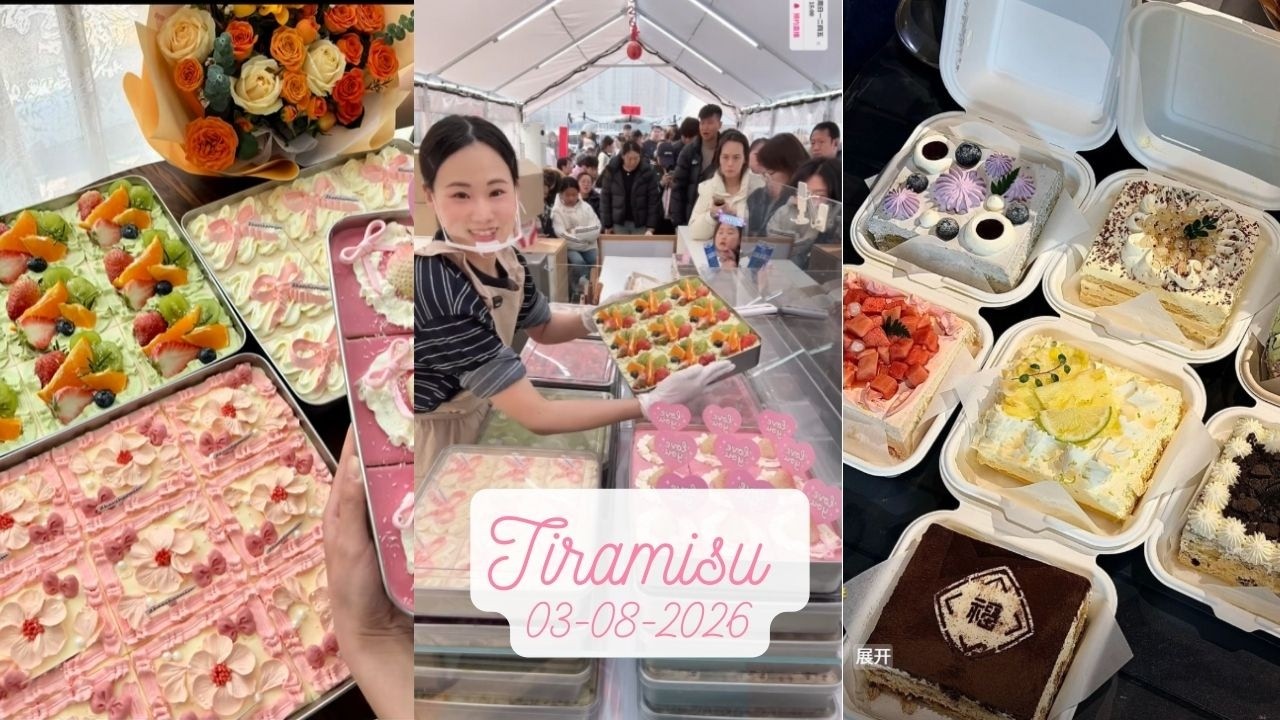 Tiramisu Cake Livestream Sale (95 trays)|Zhao Zhao #03082026 #tiramisu #cake #dessert
