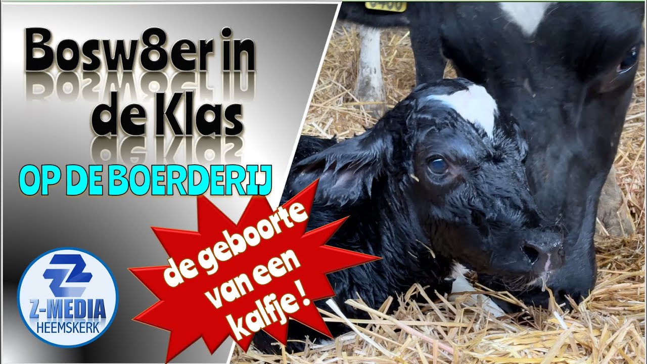 Bosw8er in de Klas: Op de boerderij (aflevering 30) 4k