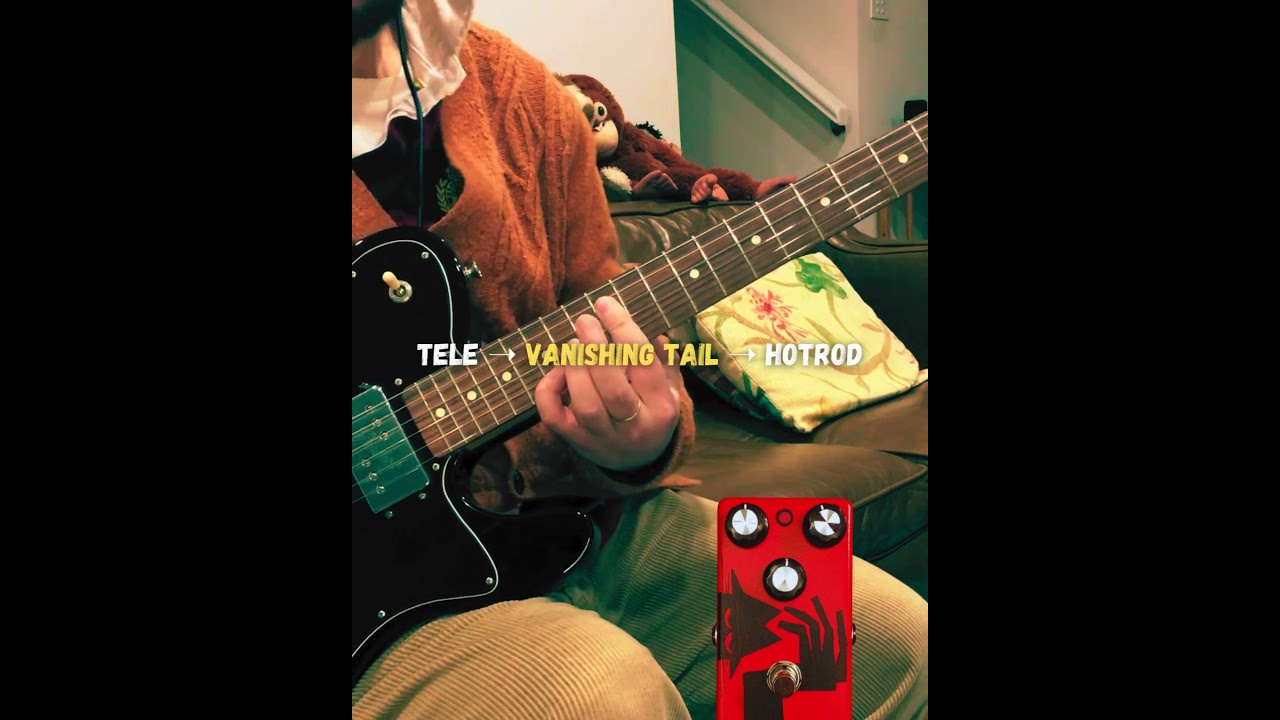 Guitar Jam with VanishingTail Pedal - Delay Reverb Ambient Guitar FX Pedal  #guitarpedal #guitar