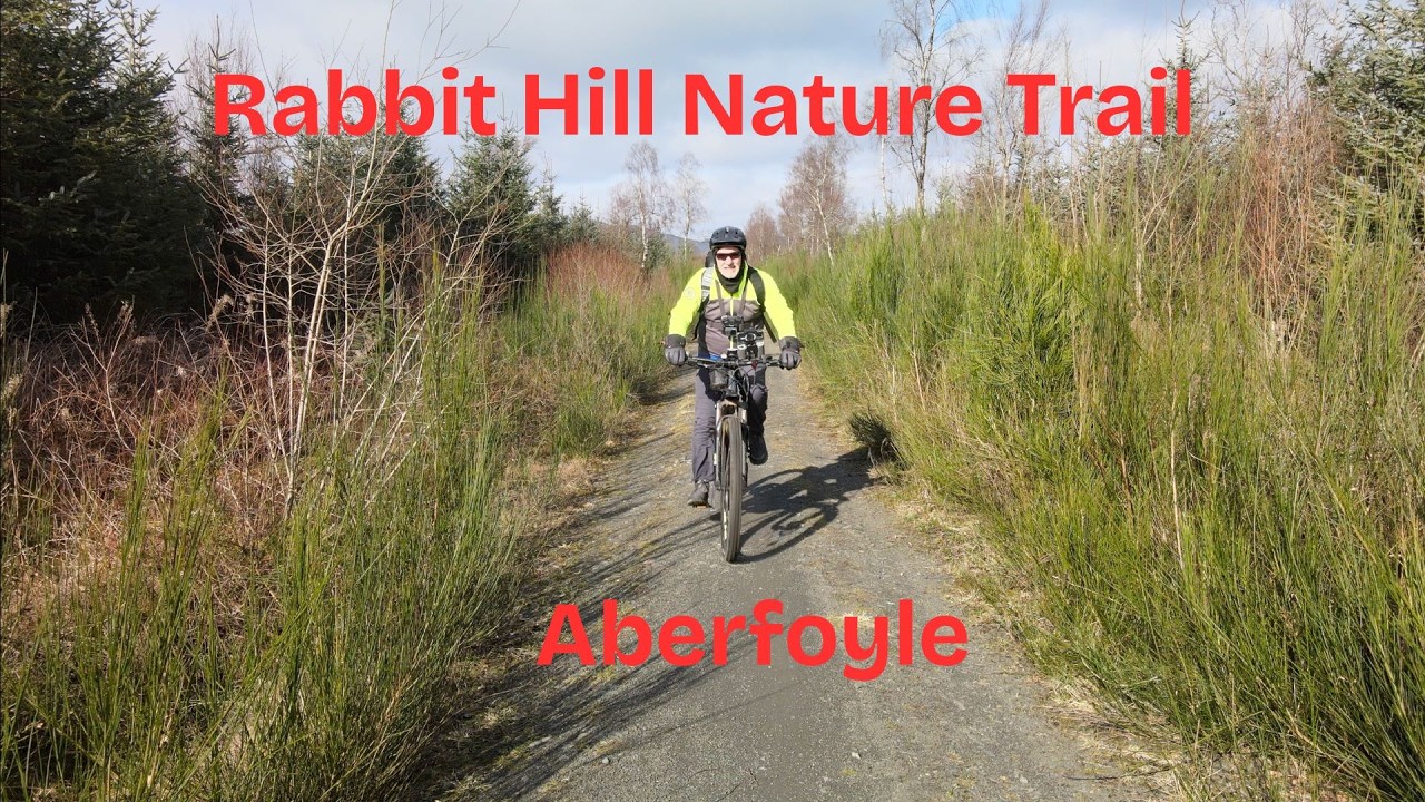 Rabbit Hill Nature Trail Aberfoyle   4K