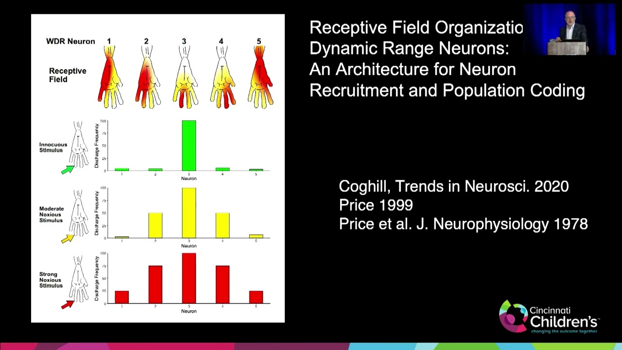 Pain: A Distributed Problem That Requires A Distributed Solution