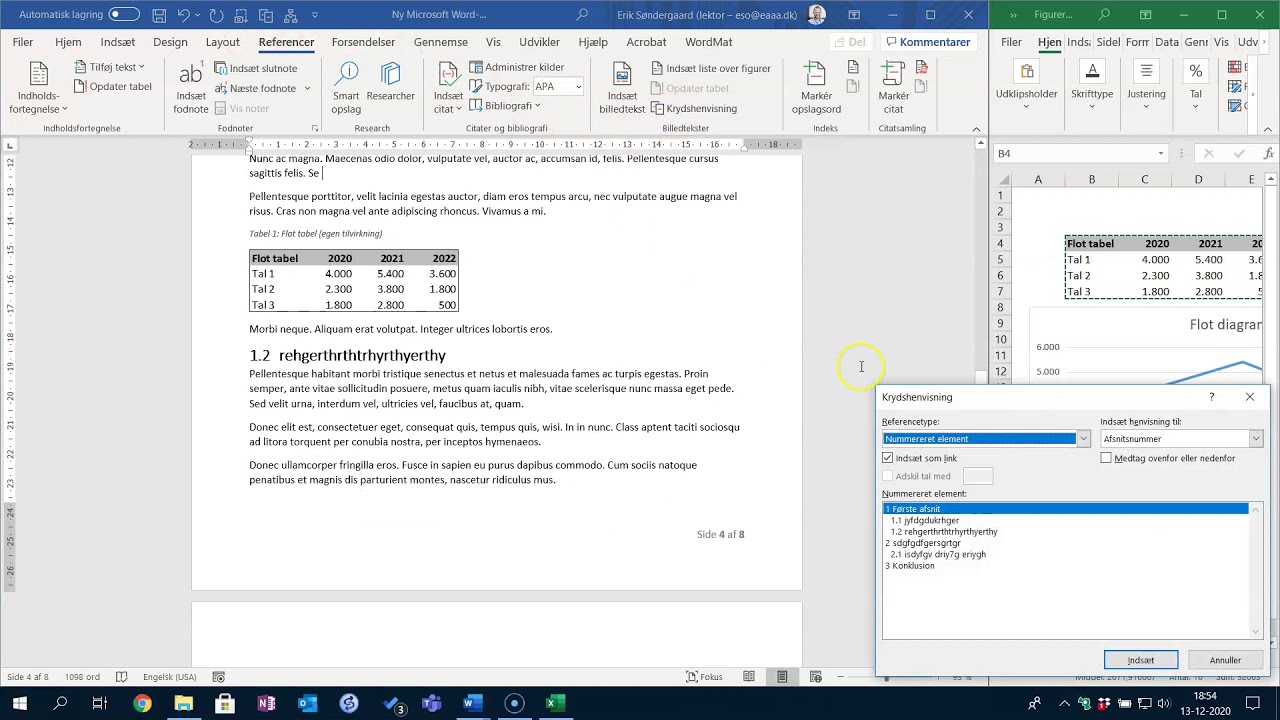 Word rapport del 2, tabeller og figurer