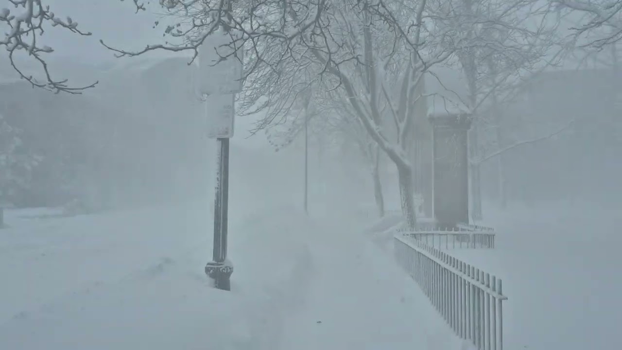 Blizzard 2026 New England