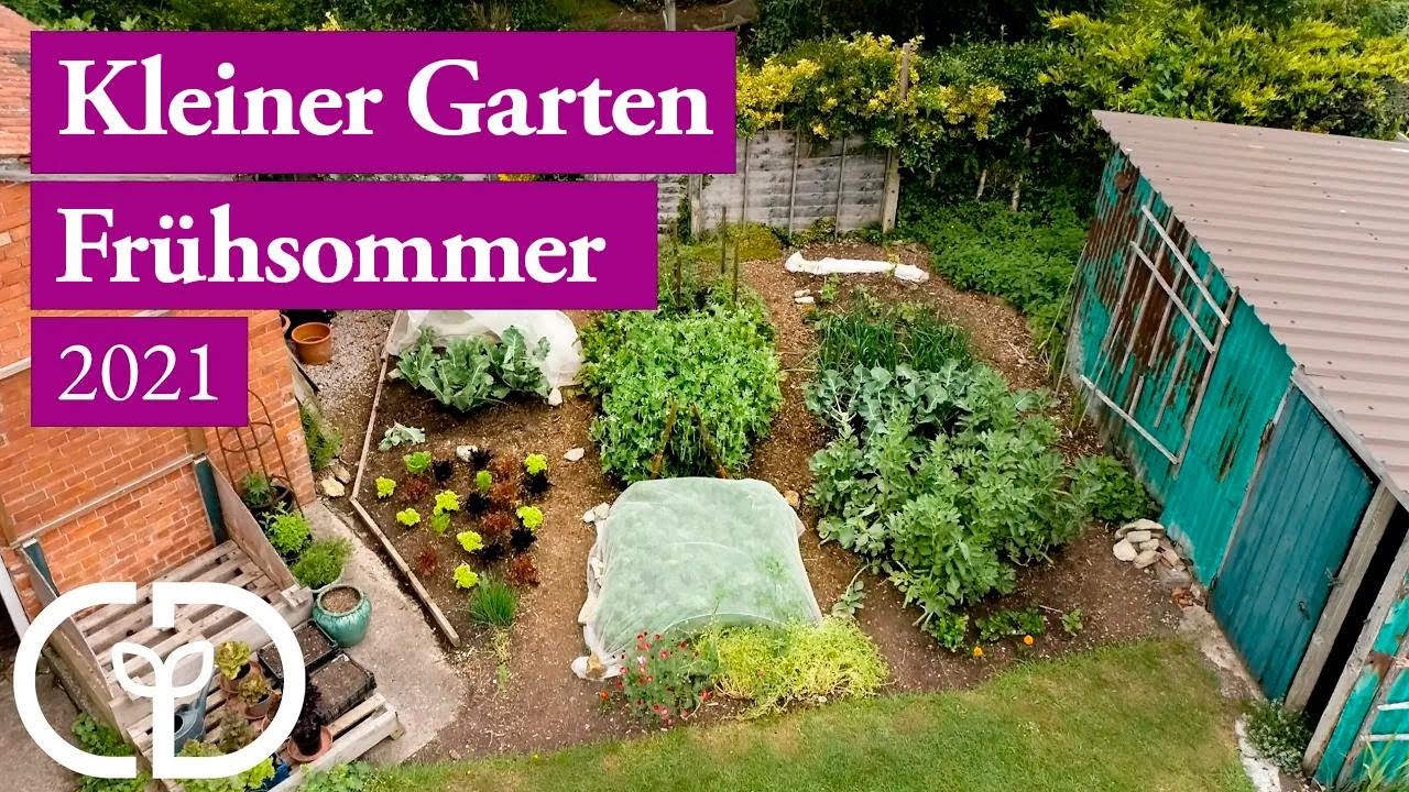 Kleiner Garten mit Charles Dowding: So wächst alles im Frühsommer richtig durch!