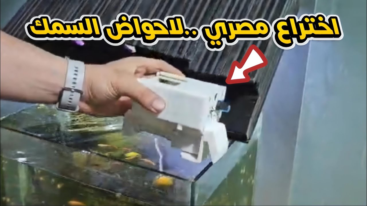 اختراع جهاز مصري لحوض سمك الزينه